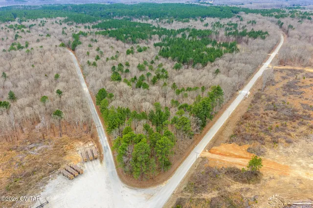 a view of a garden with a pathway