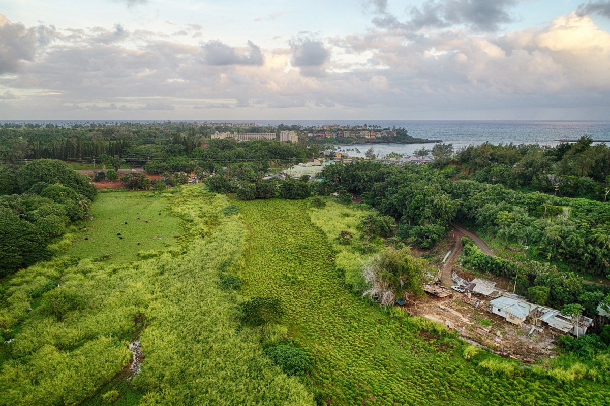 Kahumoku Road, Unit 10 Lihue, HI 96766 - Photo 12 of 27 a view of a city with lush green forest