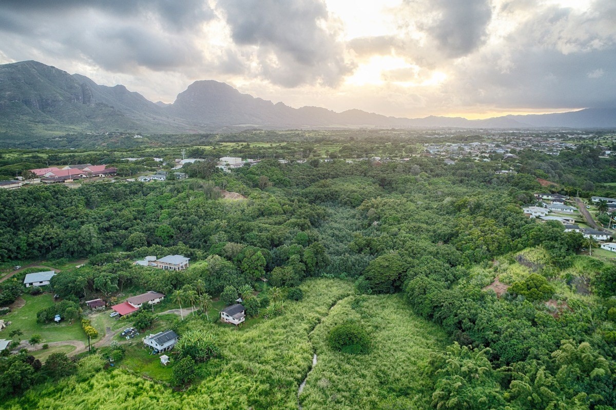 Kahumoku Road, Unit 10 Lihue, HI 96766 - Photo 13 of 27 a view of a lush green field with lots of bushes