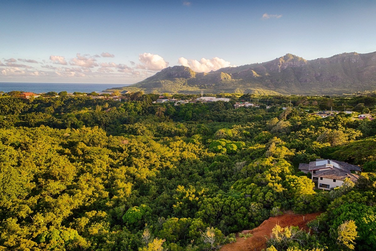 Kahumoku Road, Unit 10 Lihue, HI 96766 - Photo 3 of 27 a view of a city with mountains in the background