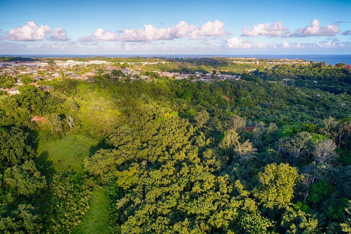 Kahumoku Road, Unit 10 Lihue, HI 96766 - Photo 4 of 27 a view of a city