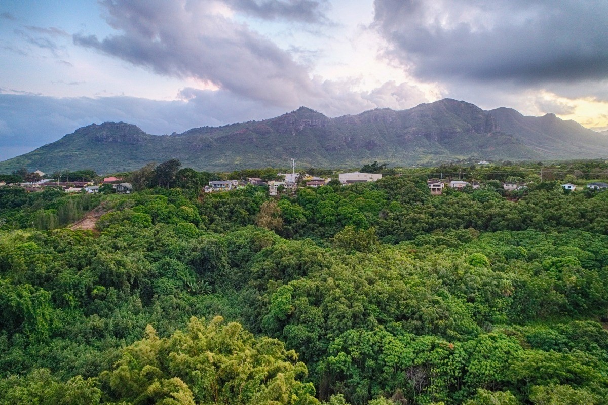 Kahumoku Road, Unit 10 Lihue, HI 96766 - Photo 7 of 27 a view of mountains and valleys in the background