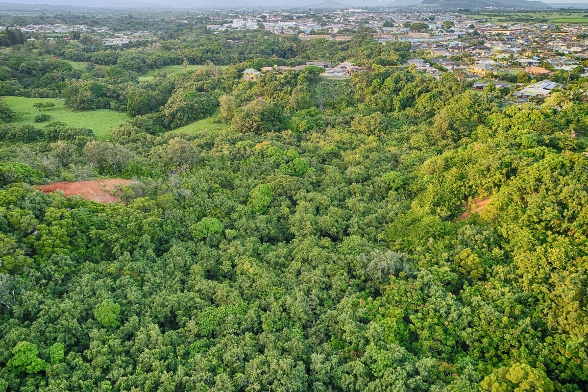 Kahumoku Road, Unit 10 Lihue, HI 96766 - Photo 9 of 27 an aerial view of residential house with outdoor space and trees all around