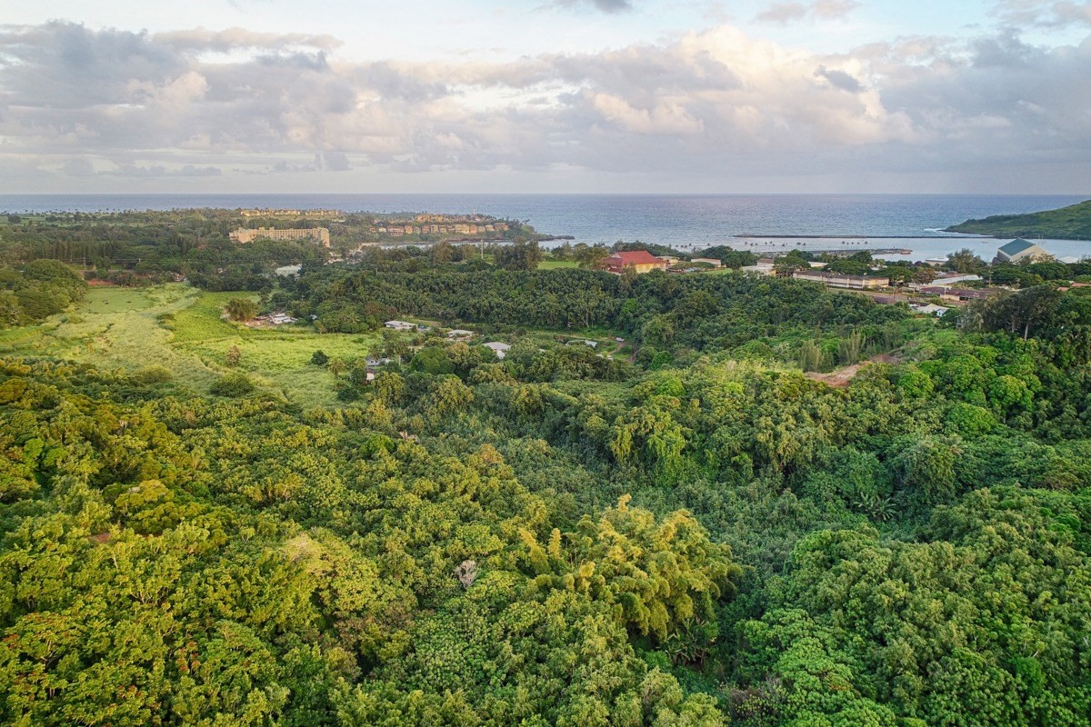 Kahumoku Road, Unit 10 Lihue, HI 96766 - Photo 10 of 27 a view of a lake with houses in back