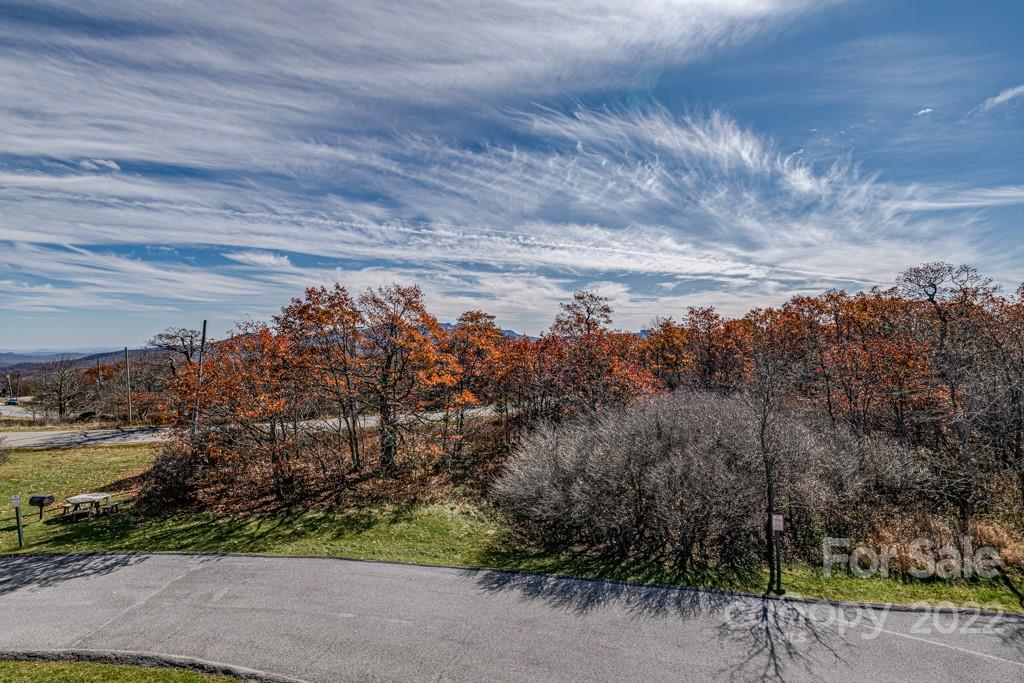 301 Pinnacle Inn Road, Unit 1315 Beech Mountain, NC 28604 - Photo 31 of 47 a view of a bunch of trees