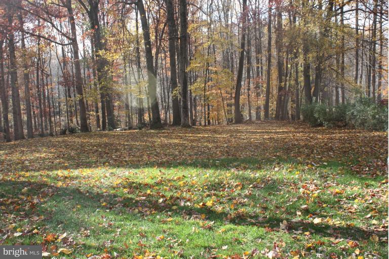 11942 Appling Valley Road Fairfax, VA 22030 - Photo 22 of 24 View