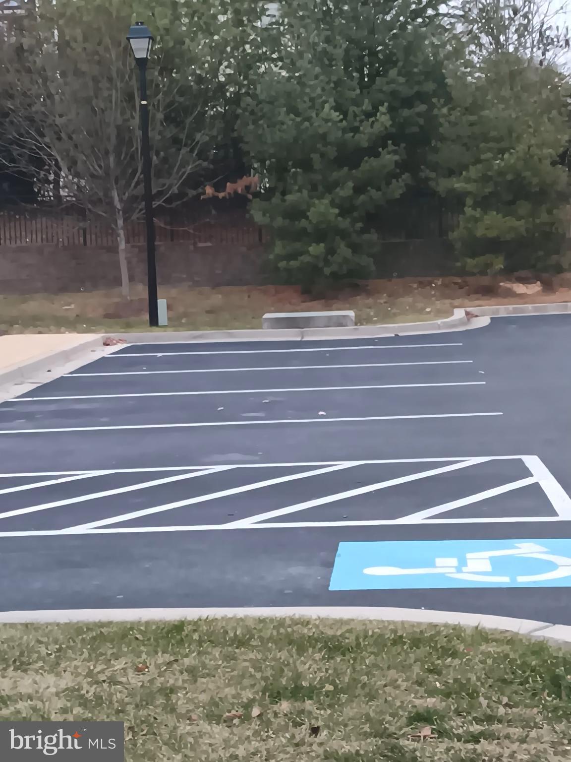 14306 Ridge View Lane Laurel, MD 20707 - Photo 18 of 18 Additional Parking