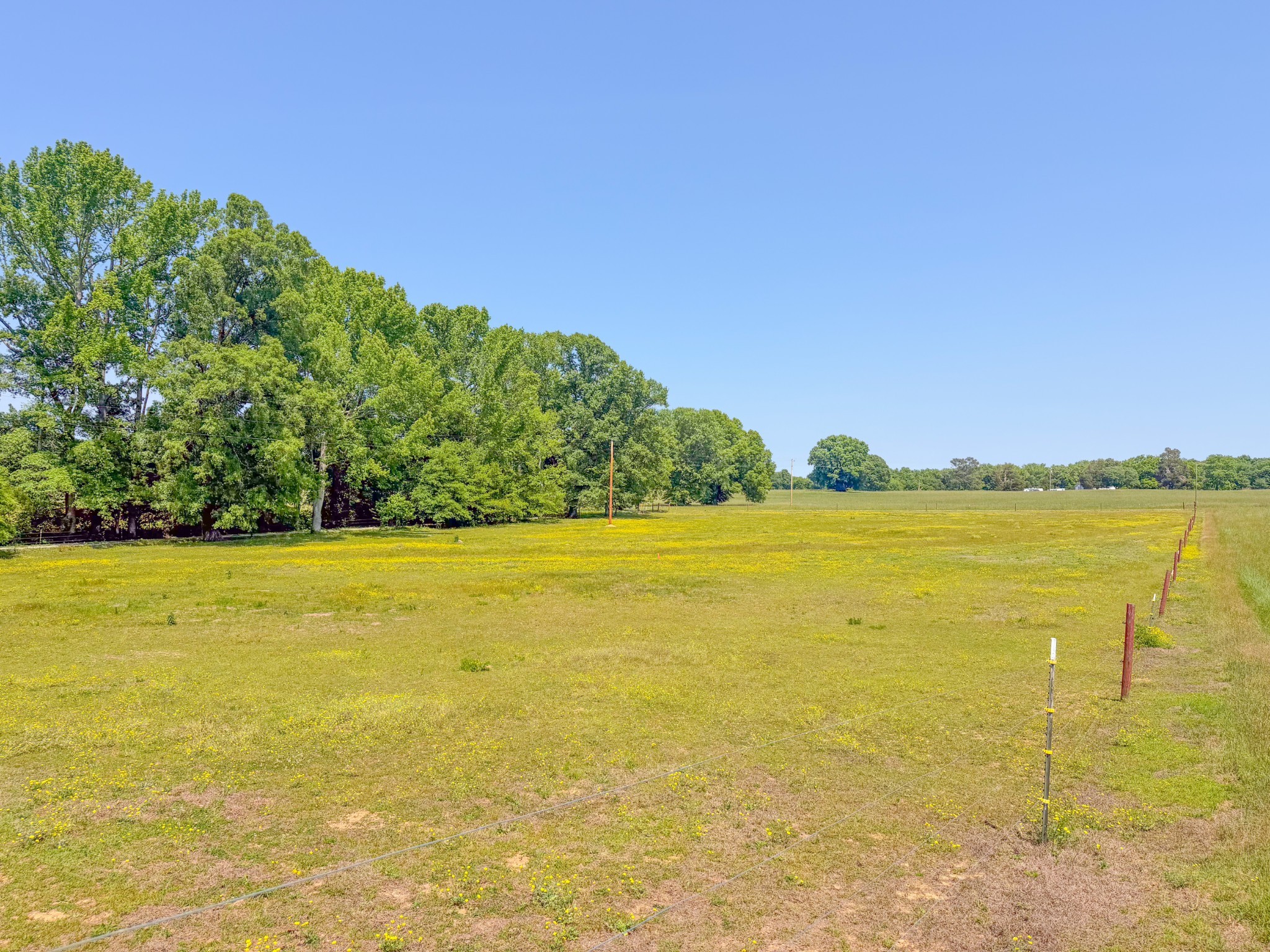 3800 Salem Road Minor Hill, TN 38473 - Photo 45 of 53