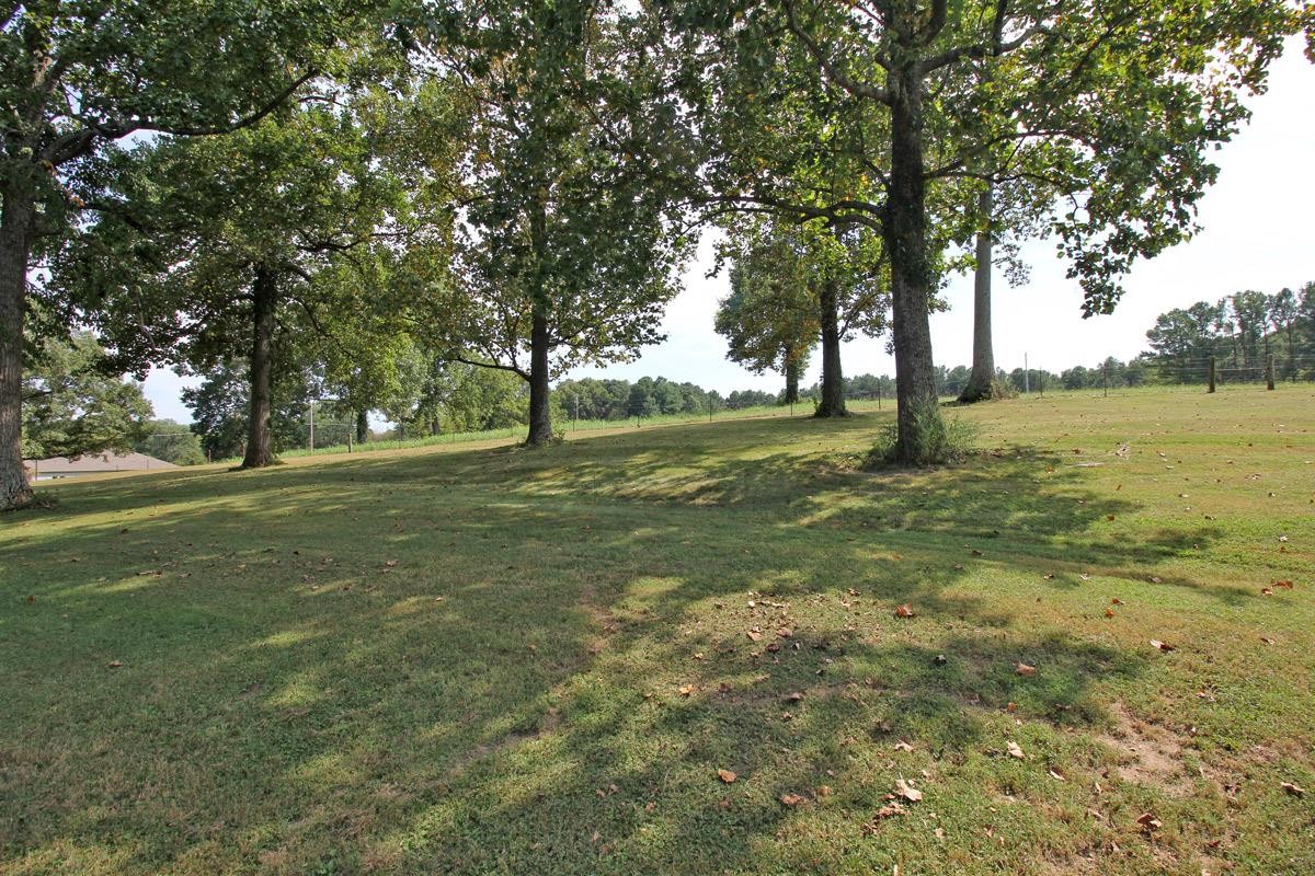 2534 Union Road White House, TN 37188 - Photo 24 of 29