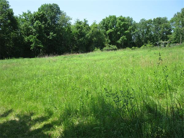Lot C-1 Lot C-1 R Center Road Dudley, MA 01571 - Photo 5 of 5 Gallery Image 5