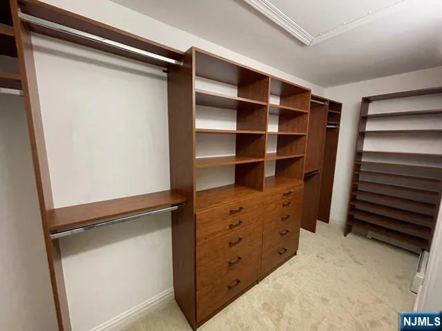 a view of walk in closet with empty racks