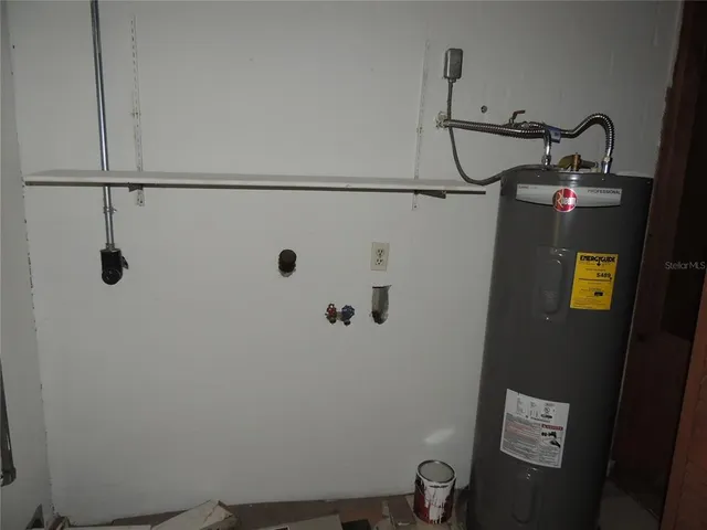 a view of under a large tree