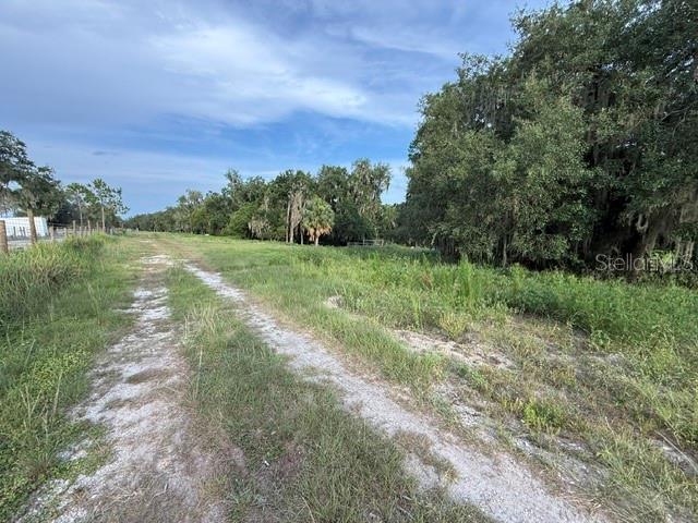 Pool Branch Road Fort Meade, FL 33841 - Photo 10 of 15 a view of a field with trees in the background