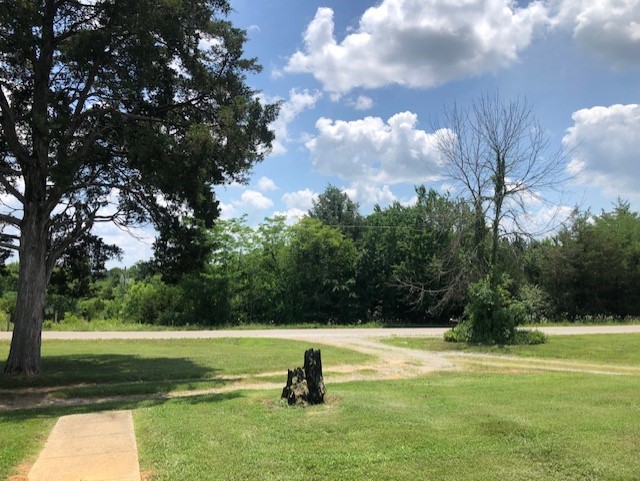 2441 Rally Hill Road Columbia, TN 38401 - Photo 5 of 14 a view of swimming pool with lawn chairs and trees