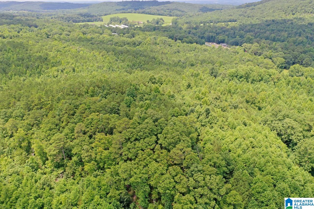 0 US Highway 278 Altoona, AL 35952 - Photo 8 of 14