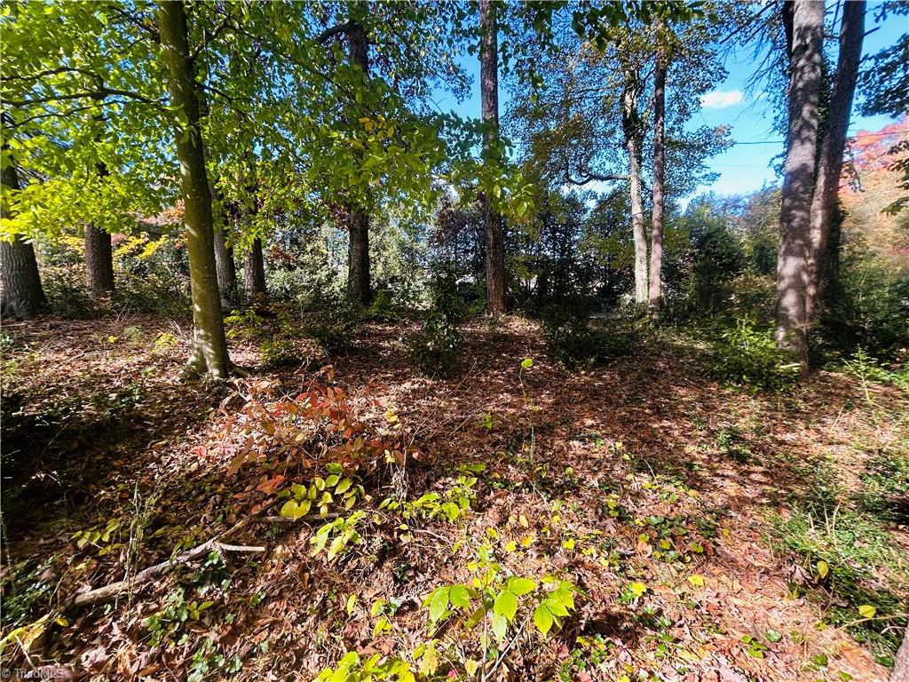 Tbd Old Springs Road Mount Airy, NC 27030 - Photo 8 of 17