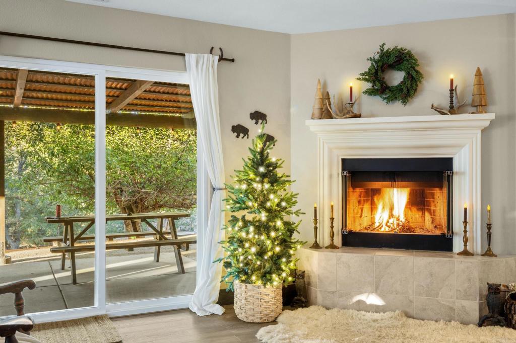 25258 Black Canyon Road Santa Ysabel, CA 92070 - Photo 17 of 71 a living room with a fireplace and potted plants