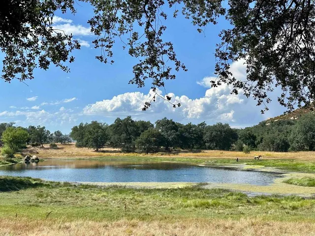 a kitchen with stainless steel appliances kitchen island granite countertop a table chairs sink refrigerator and cabinets