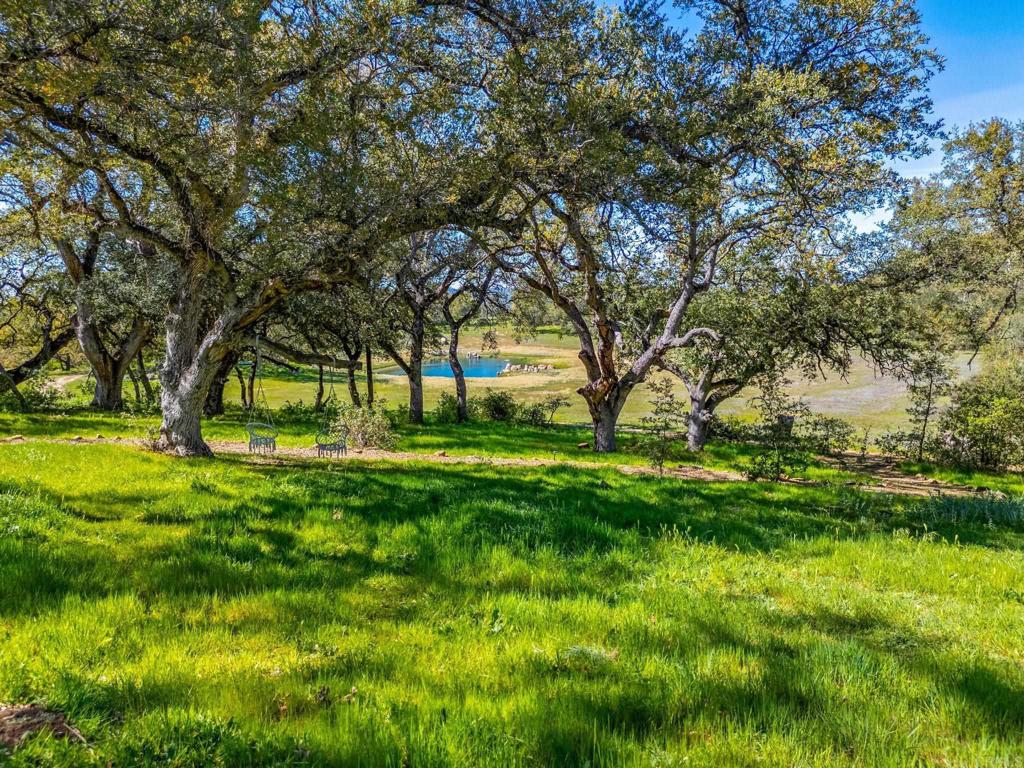 25258 Black Canyon Road Santa Ysabel, CA 92070 - Photo 20 of 71
