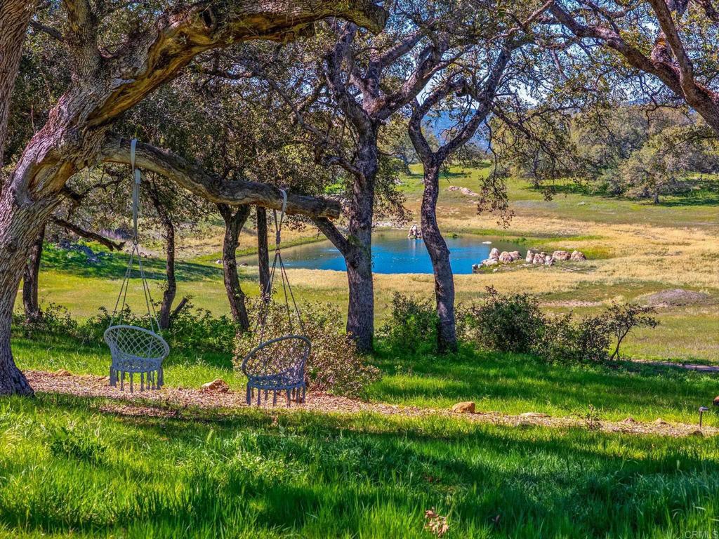 25258 Black Canyon Road Santa Ysabel, CA 92070 - Photo 3 of 71 a view of a park with large trees