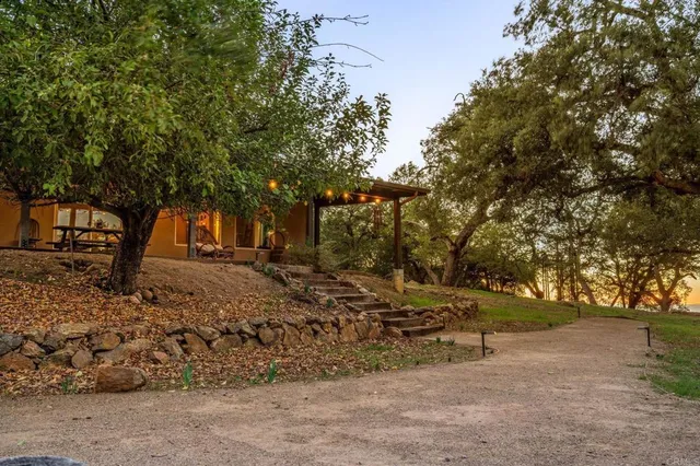 a view of a lake in between two tall trees