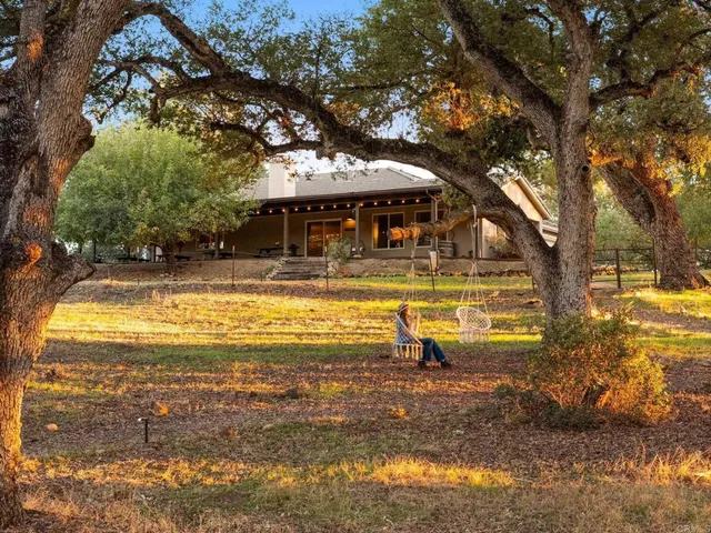 a view of a yard with a tree