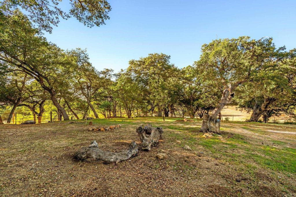 25258 Black Canyon Road Santa Ysabel, CA 92070 - Photo 42 of 69