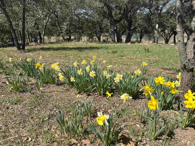 a view of an ocean and beach