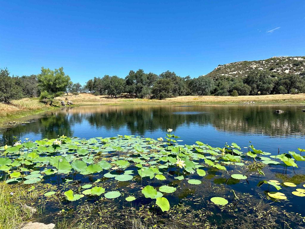 25258 Black Canyon Road Santa Ysabel, CA 92070 - Photo 47 of 69 a view of a lake with a tree in the background