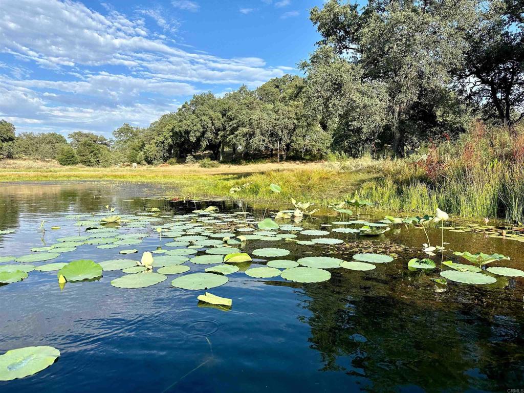 25258 Black Canyon Road Santa Ysabel, CA 92070 - Photo 49 of 69 a view of an ocean yard and outdoor seating