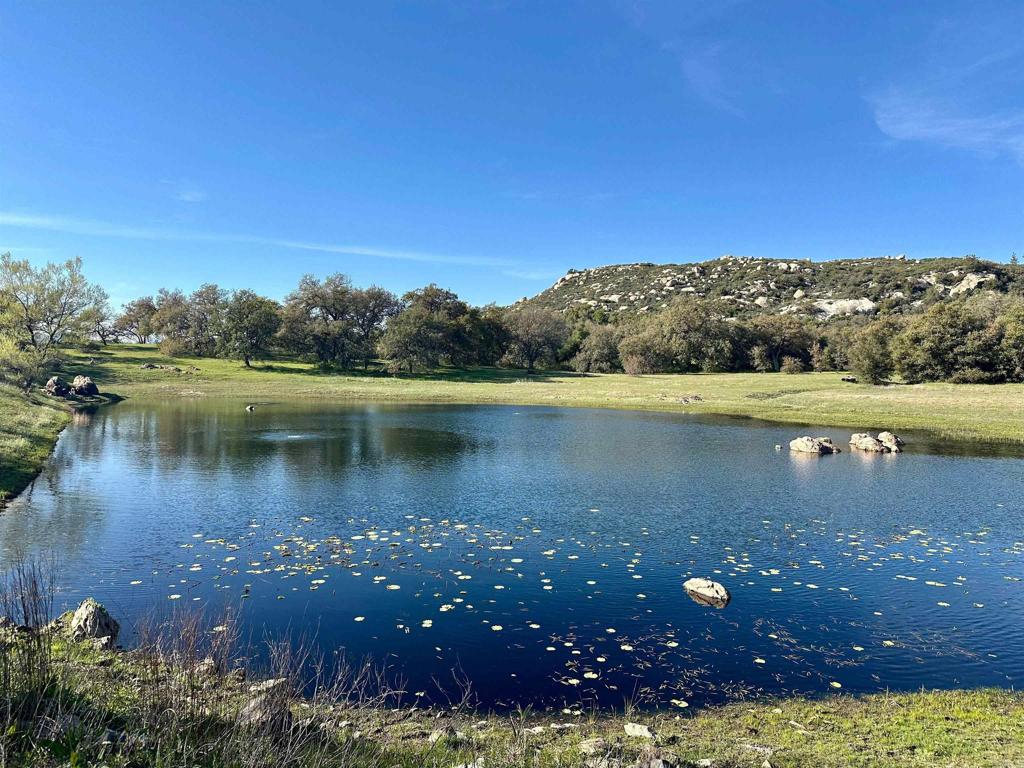25258 Black Canyon Road Santa Ysabel, CA 92070 - Photo 52 of 71 a view of a lake in between two and trees