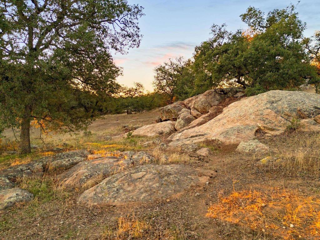 25258 Black Canyon Road Santa Ysabel, CA 92070 - Photo 53 of 71 a view of a yard with a tree