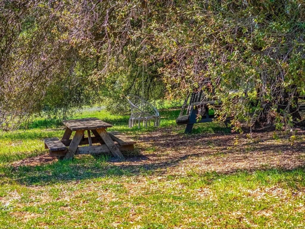 25258 Black Canyon Road Santa Ysabel, CA 92070 - Photo 56 of 71 a backyard of a house with lots of green space