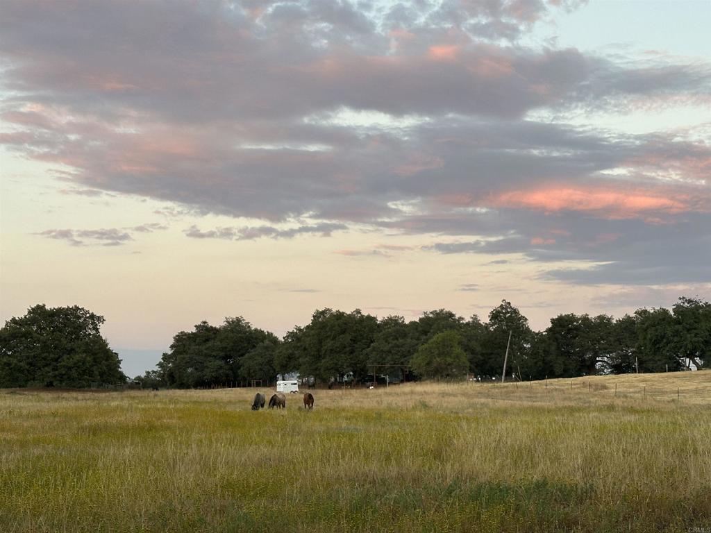 25258 Black Canyon Road Santa Ysabel, CA 92070 - Photo 56 of 69 a view of an ocean and beach
