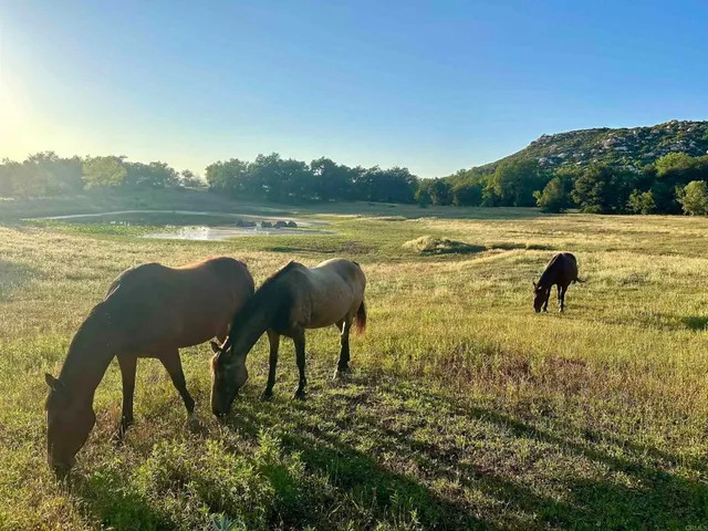 $2,250,000 | 25258 Black Canyon Road, Santa Ysabel, CA 92070