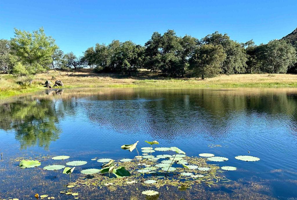 25258 Black Canyon Road Santa Ysabel, CA 92070 - Photo 6 of 69 a view of a lake with a lake