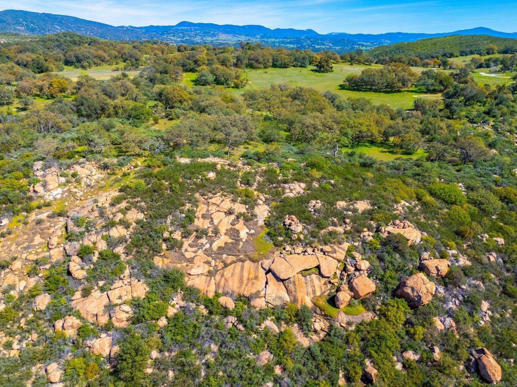 25258 Black Canyon Road Santa Ysabel, CA 92070 - Photo 62 of 71 a view of a city with lush green forest