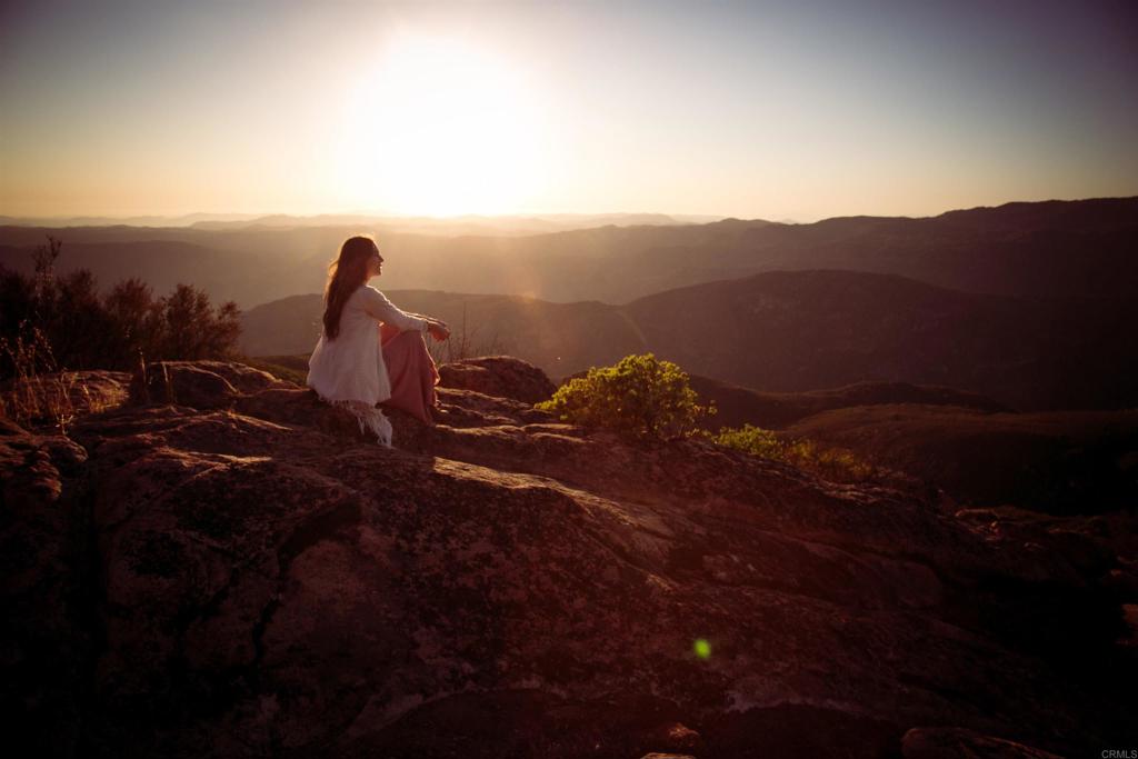 25258 Black Canyon Road Santa Ysabel, CA 92070 - Photo 63 of 69