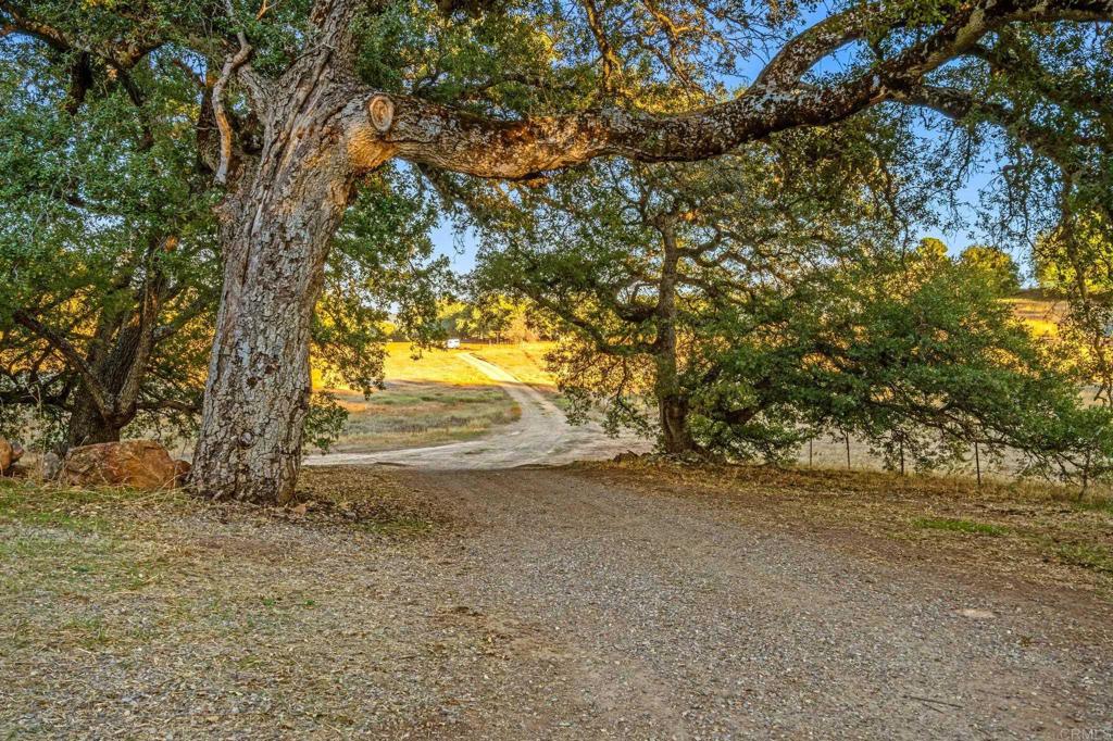 25258 Black Canyon Road Santa Ysabel, CA 92070 - Photo 64 of 71