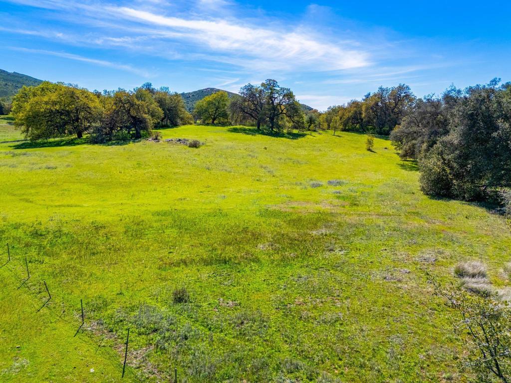 25258 Black Canyon Road Santa Ysabel, CA 92070 - Photo 8 of 71 a view of an ocean from a yard