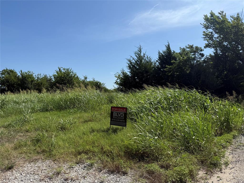 1 County Road 5045 Leonard, TX 75452 - Photo 11 of 23 a view of a green field with a tree in the background