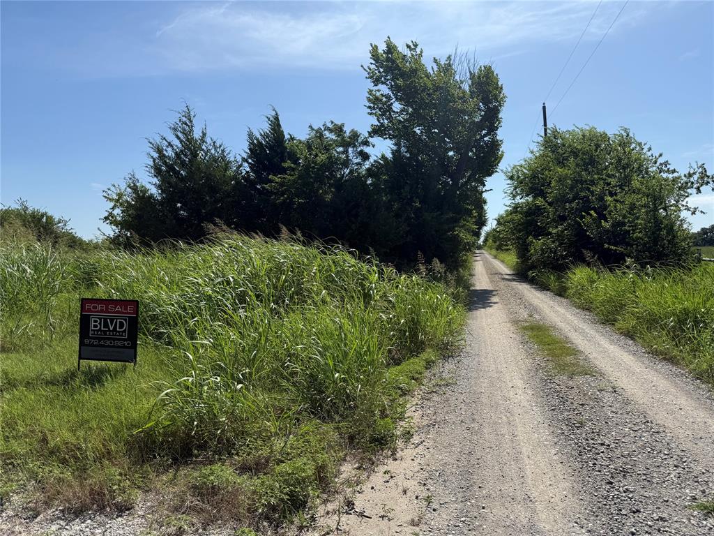 1 County Road 5045 Leonard, TX 75452 - Photo 12 of 23 a view of a street with flower garden