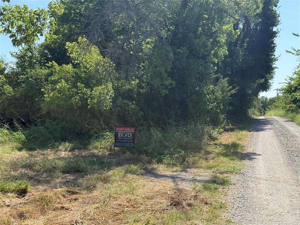 1 County Road 5045 Leonard, TX 75452 - Photo 14 of 23 a view of a yard with a tree