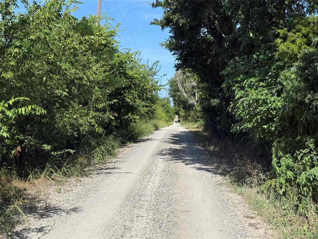 1 County Road 5045 Leonard, TX 75452 - Photo 6 of 23 a view of a yard with plants and trees