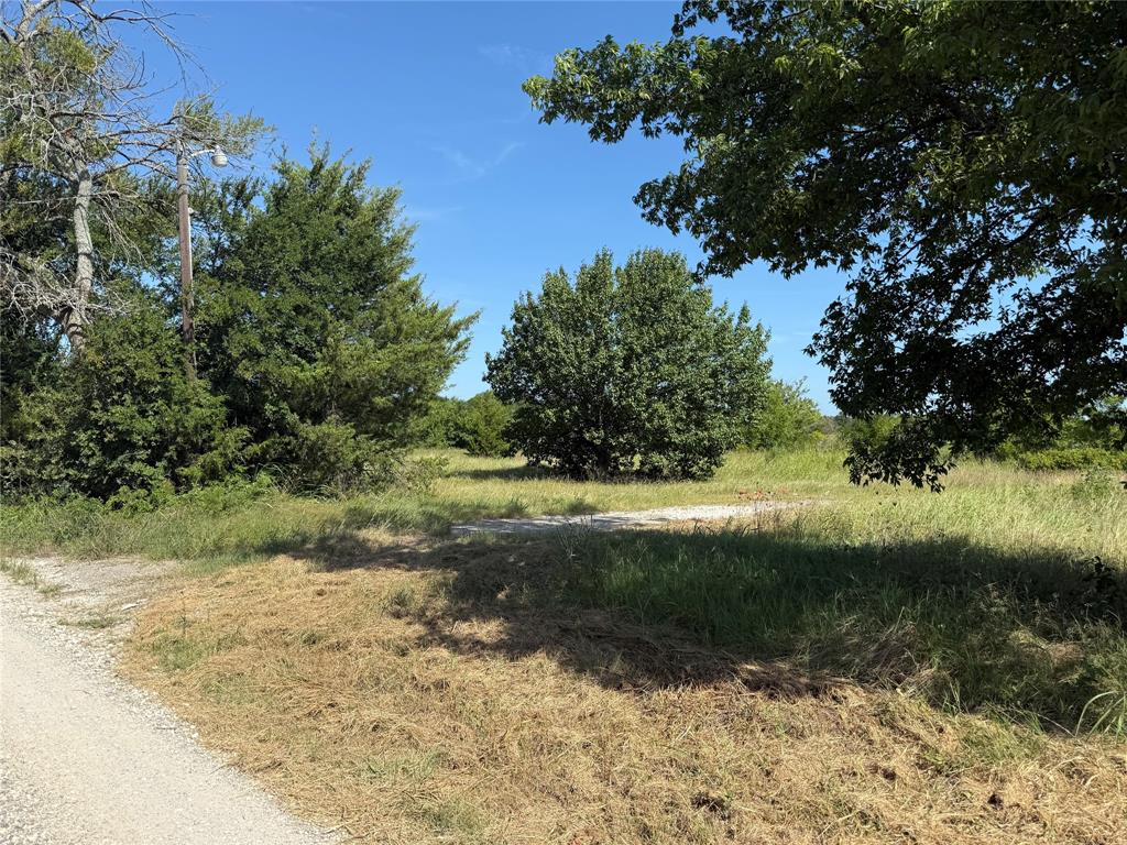 1 County Road 5045 Leonard, TX 75452 - Photo 8 of 23 a view of a yard with plants and large trees