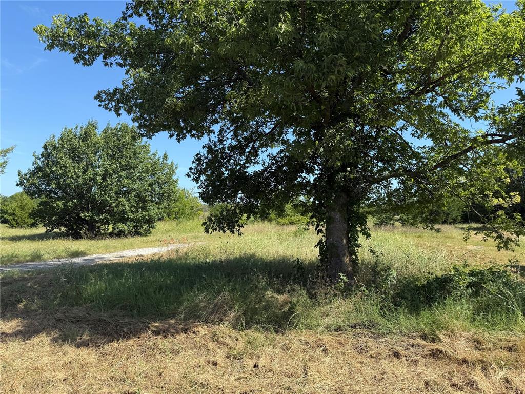 1 County Road 5045 Leonard, TX 75452 - Photo 9 of 23 a view of a yard with a tree