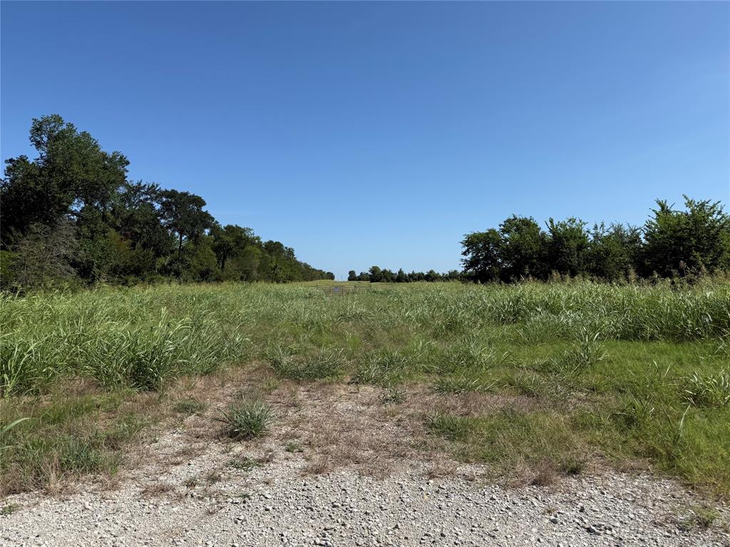 1 County Road 5045 Leonard, TX 75452 - Photo 10 of 23 a view of a field with a tree in the background