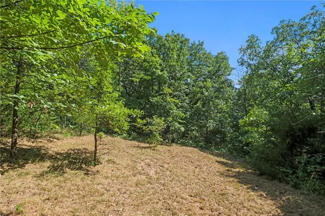 $135,000 | Young Drive, Odessa, MO 64076