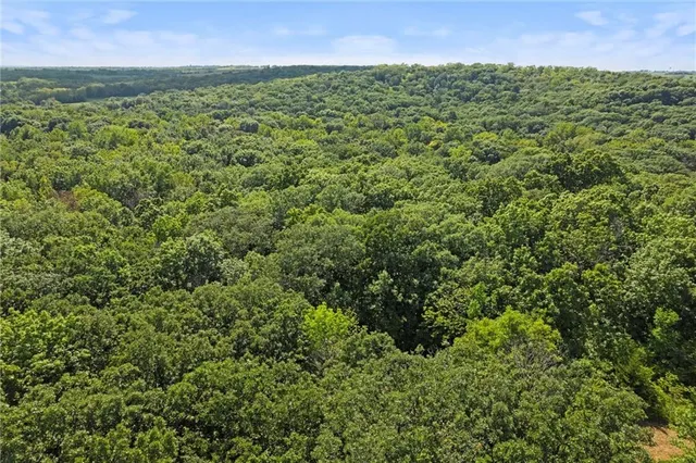 $135,000 | Young Drive, Odessa, MO 64076