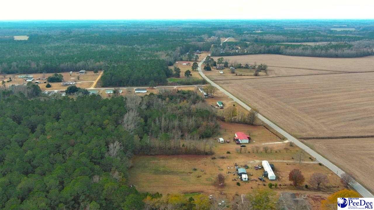 Kentyre Road Hamer, SC 29547 - Photo 20 of 24 Gallery Image 20
